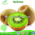 Nutramax Supply-100% Natural Kiwi Fruit Powder High Quality 4:1 5:1 10:1 20:1